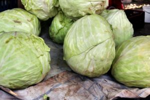 Kaip sukurti sėkmingą regioninį naujienų portalą: nuo idėjos iki skaitytojų auditorijos