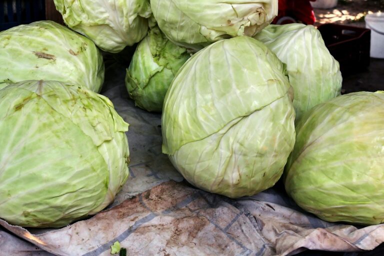 Kaip sukurti sėkmingą regioninį naujienų portalą: nuo idėjos iki skaitytojų auditorijos